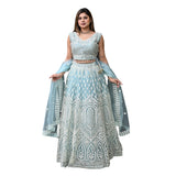 Icy Radiance Thread Embroidered Lehenga Set