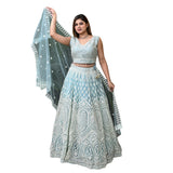 Icy Radiance Thread Embroidered Lehenga Set