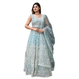 Icy Radiance Thread Embroidered Lehenga Set