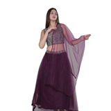 Net Chandla Handwork Lehenga Set