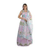 Rosy Blush Net Thread Embroidered Lehenga Choli