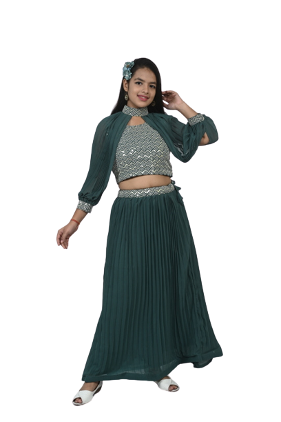 Enchanted Pines Georgette Sequin Embroidered Choli and Lehenga Set