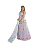 Rosy Blush Net Thread Embroidered Lehenga Choli