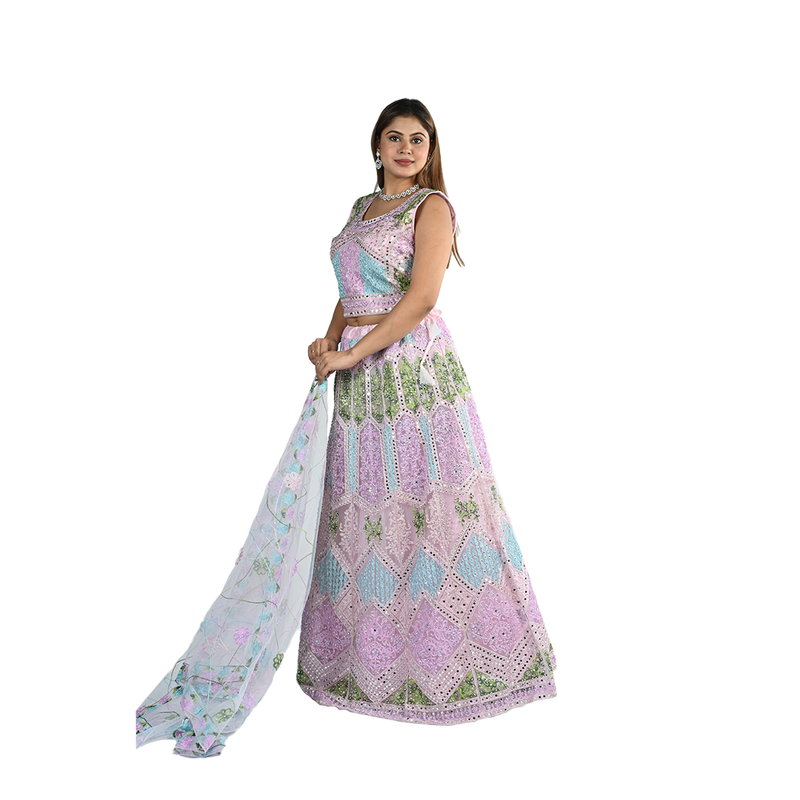 Rosy Blush Net Thread Embroidered Lehenga Choli